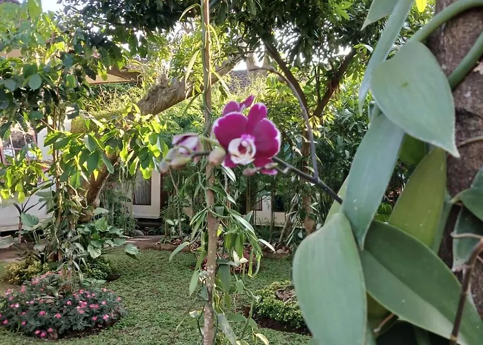 Puri Amartha Ubud