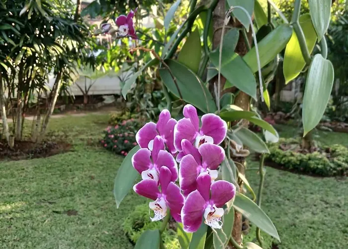 Puri Amartha * Ubud